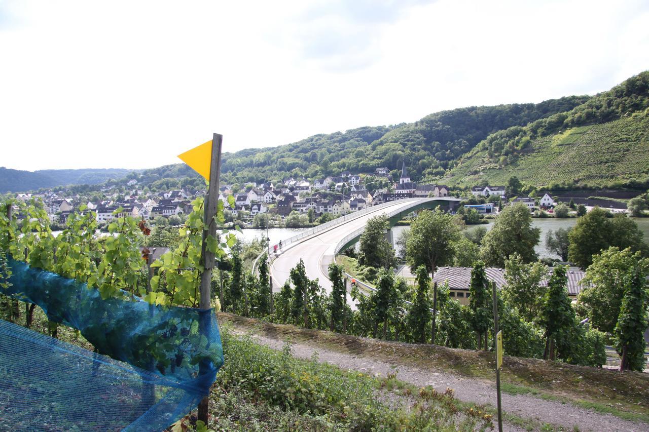 Ferienwohnungen Im Moseltal Lof Bagian luar foto
